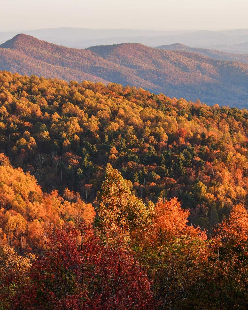 Big Meadows in Shenandoah National Park